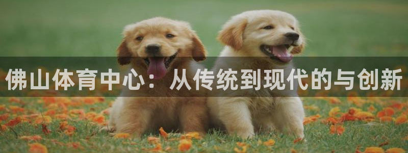 oety欧亿体育官网下载平台是正规平台吗:佛山体育中心:从传