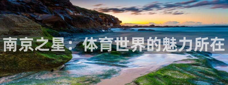 oety欧亿体育官网下载平台:南京之星:体育世界的魅力所在